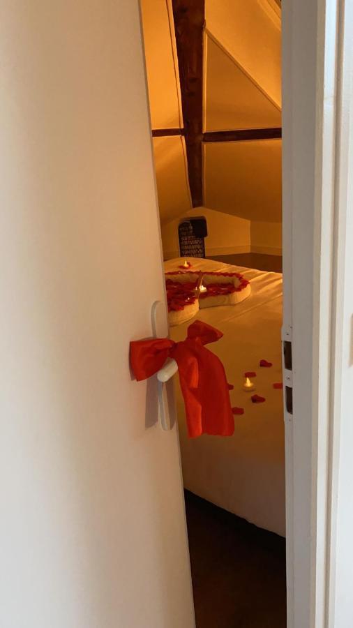 Couttet Champion Romantique Proche Gare Annecy Eksteriør billede